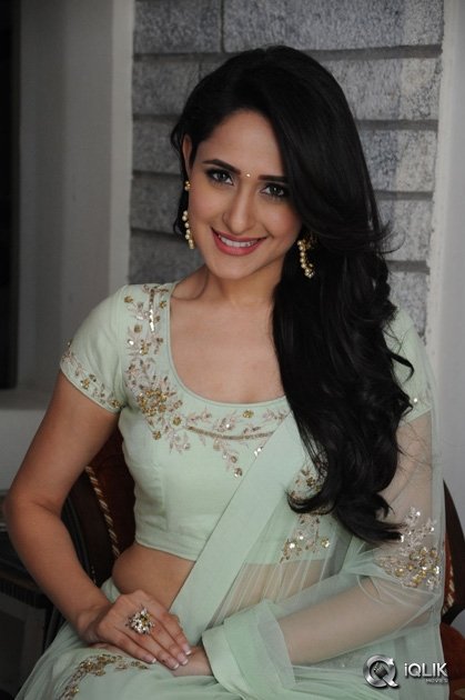 Pragya-Jaiswal-Interview-About-Kanche